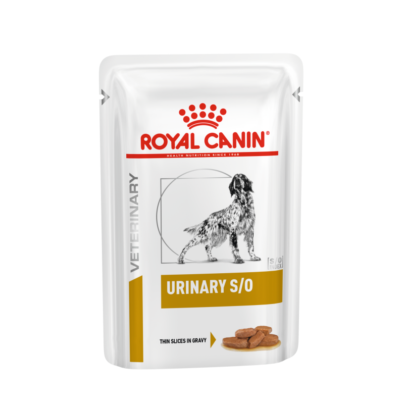 Royal canin so sales dry dog food