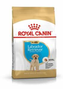 Royal canin labrador top junior 12kg